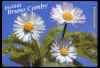 -----Offert par Pygme-----
