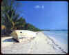 -----Offert par Djaj-----